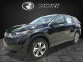2017 Crystal Black Pearl Honda CR-V LX AWD  photo #4