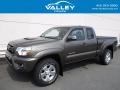 Pyrite Mica 2015 Toyota Tacoma V6 Access Cab 4x4