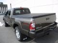 Pyrite Mica - Tacoma V6 Access Cab 4x4 Photo No. 4
