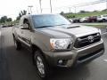 Pyrite Mica - Tacoma V6 Access Cab 4x4 Photo No. 8