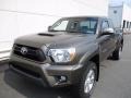 Pyrite Mica - Tacoma V6 Access Cab 4x4 Photo No. 10