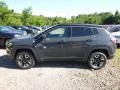 Rhino - Compass Trailhawk 4x4 Photo No. 2