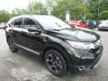 Crystal Black Pearl - CR-V Touring AWD Photo No. 5