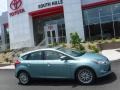 Frosted Glass Metallic - Focus SEL 5-Door Photo No. 2
