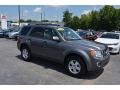 2010 Sterling Grey Metallic Ford Escape XLT  photo #1