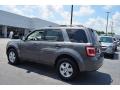 2010 Sterling Grey Metallic Ford Escape XLT  photo #25
