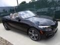 Jet Black 2017 BMW 2 Series 230i xDrive Convertible