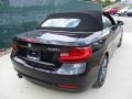 Jet Black - 2 Series 230i xDrive Convertible Photo No. 11