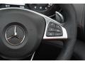 Red Pepper/Black Controls Photo for 2018 Mercedes-Benz AMG GT #121535666