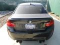 Black Sapphire Metallic - M2 Coupe Photo No. 8