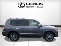Nebula Gray Pearl - LX 570 Photo No. 2