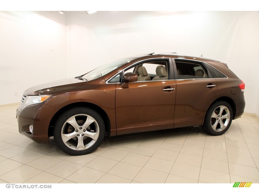 2010 Venza V6 AWD - Sunset Bronze Mica / Ivory photo #3