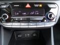 2017 Hyundai Ioniq Hybrid Charcoal Black Interior Controls Photo