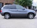 Steel Grey Metallic - X5 3.0i Photo No. 2