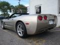 Light Pewter Metallic - Corvette Convertible Photo No. 4