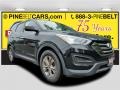 2016 Twilight Black Hyundai Santa Fe Sport   photo #1