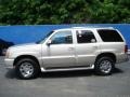 Quicksilver - Escalade AWD Photo No. 2