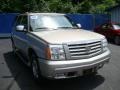 Quicksilver - Escalade AWD Photo No. 6