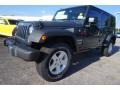 Rhino - Wrangler Unlimited Sport 4x4 Photo No. 1