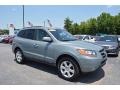 Platinum Sage 2008 Hyundai Santa Fe SE