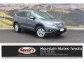 2014 Urban Titanium Metallic Honda CR-V EX-L AWD  photo #1