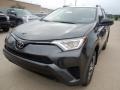 2017 Magnetic Gray Metallic Toyota RAV4 LE  photo #1