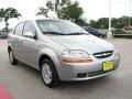 2004 Galaxy Silver Metallic Chevrolet Aveo LS Sedan  photo #6