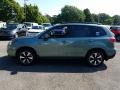 2018 Jasmine Green Metallic Subaru Forester 2.5i Premium  photo #3