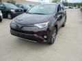 Black - RAV4 XLE Photo No. 1