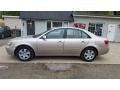 Golden Beige - Sonata GLS Photo No. 3