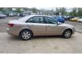 Golden Beige - Sonata GLS Photo No. 6