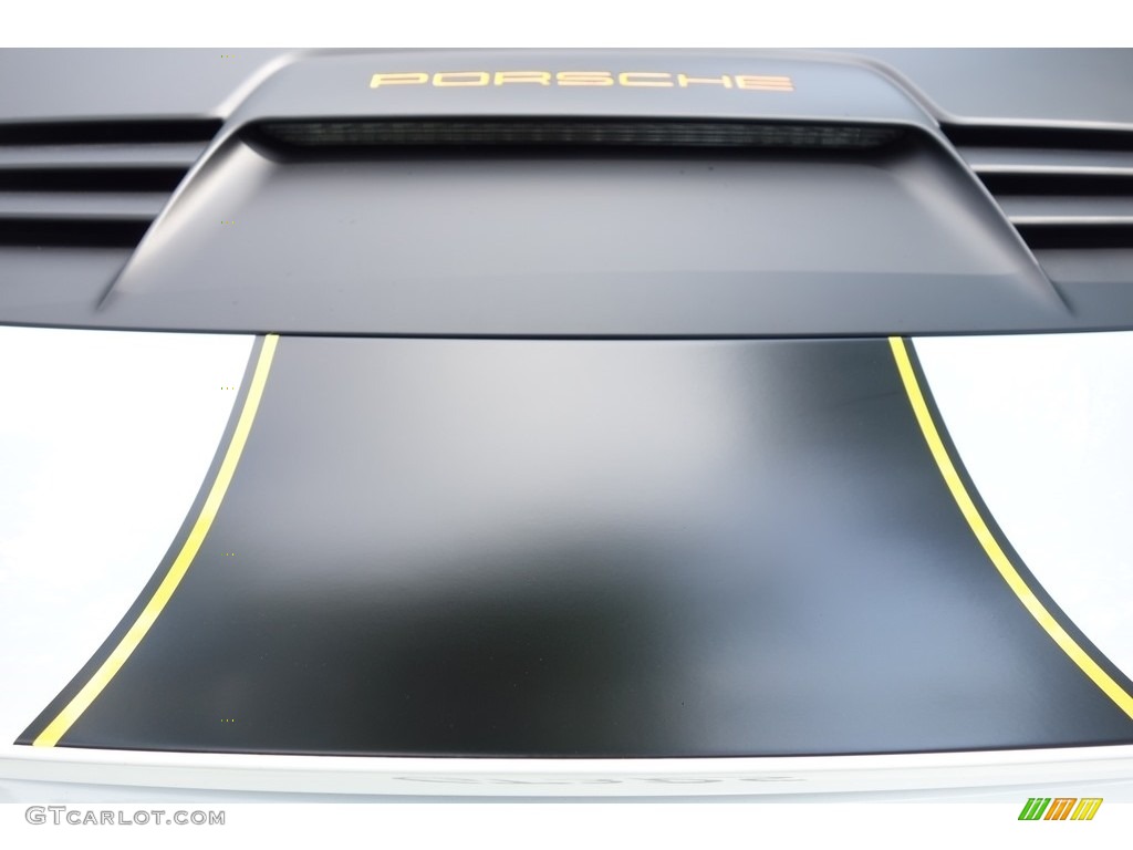2016 Porsche 911 GT3 RS Marks and Logos Photo #121664017