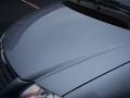 2005 Butane Blue Pearl Chrysler Town & Country LX  photo #55