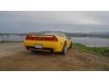 2003 Spa Yellow Pearl Acura NSX T  photo #18