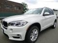 Alpine White - X5 xDrive35i Photo No. 1