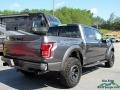 2017 Magnetic Ford F150 SVT Raptor SuperCrew 4x4  photo #5