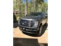 Magnetic - F350 Super Duty Platinum Crew Cab 4x4 Photo No. 3