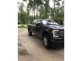 Magnetic - F350 Super Duty Platinum Crew Cab 4x4 Photo No. 4