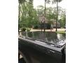 Magnetic - F350 Super Duty Platinum Crew Cab 4x4 Photo No. 9