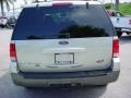 2005 Silver Birch Metallic Ford Expedition XLT  photo #4