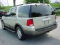 2005 Silver Birch Metallic Ford Expedition XLT  photo #6