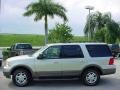 2005 Silver Birch Metallic Ford Expedition XLT  photo #7