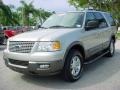 2005 Silver Birch Metallic Ford Expedition XLT  photo #8