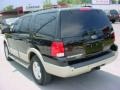 Black Clearcoat - Expedition Eddie Bauer Photo No. 3