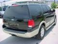 Black Clearcoat - Expedition Eddie Bauer Photo No. 6
