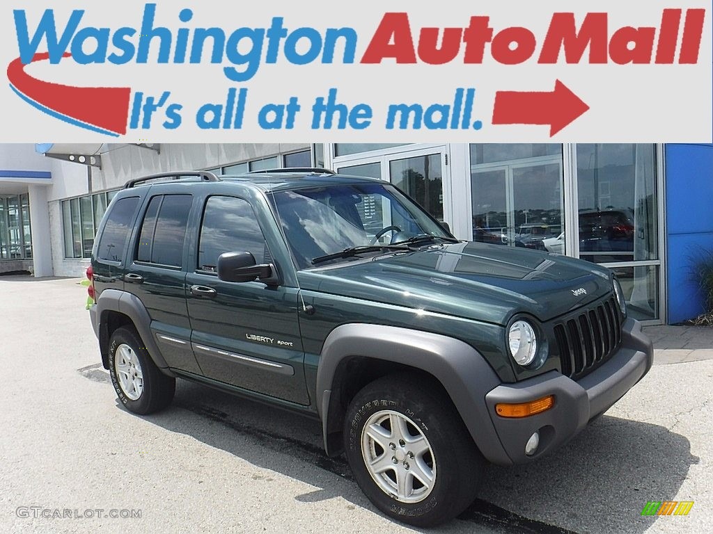 2002 Liberty Sport 4x4 - Shale Green Metallic / Dark Slate Gray photo #1