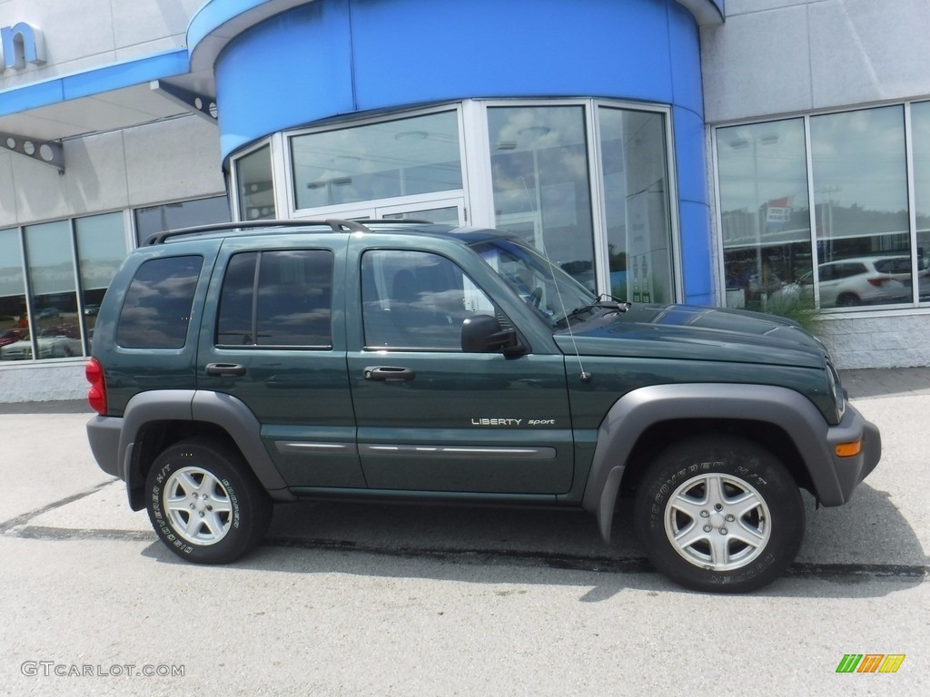 2002 Liberty Sport 4x4 - Shale Green Metallic / Dark Slate Gray photo #2