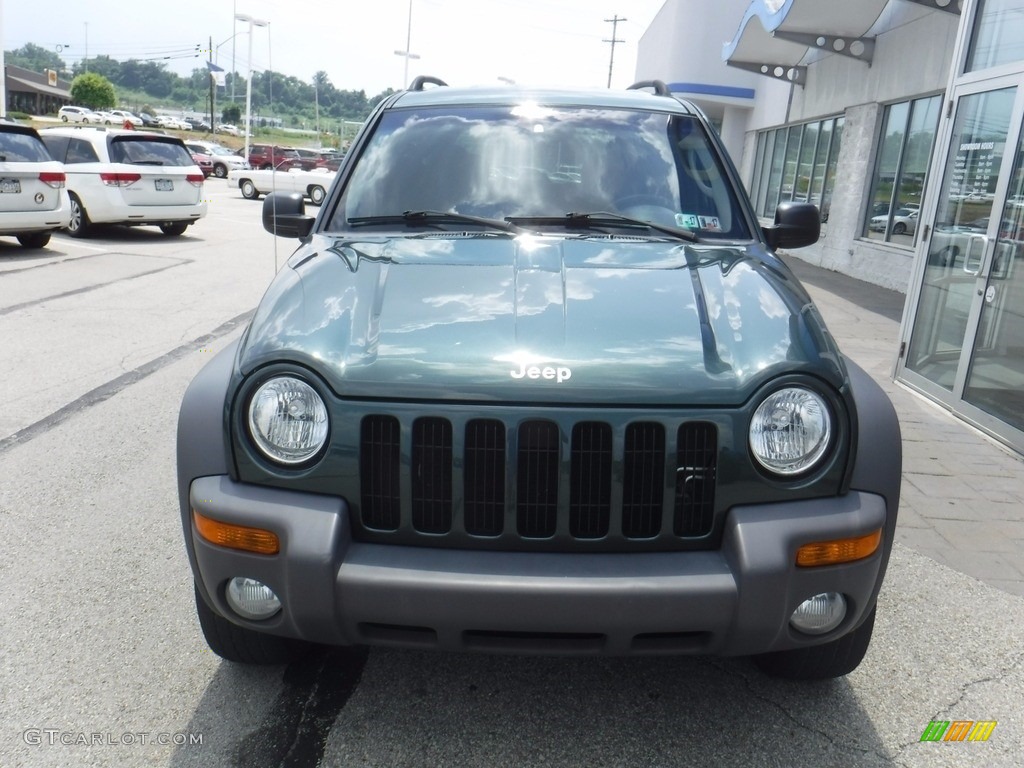 2002 Liberty Sport 4x4 - Shale Green Metallic / Dark Slate Gray photo #4
