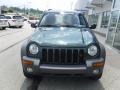 Shale Green Metallic - Liberty Sport 4x4 Photo No. 4