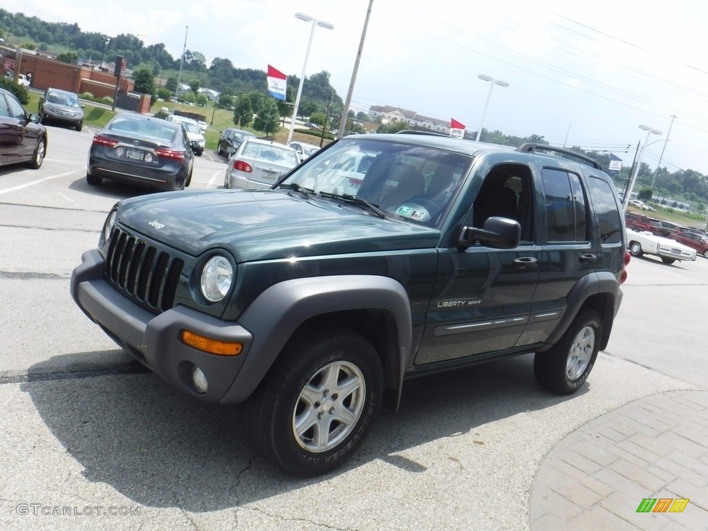 2002 Liberty Sport 4x4 - Shale Green Metallic / Dark Slate Gray photo #5